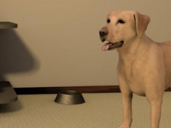 Виртуальная собака поможет избежать укусов бездомными животными