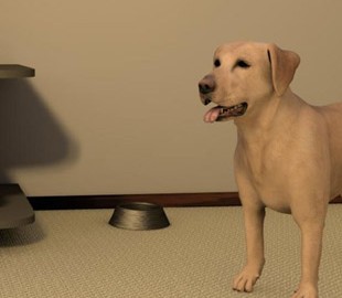 Виртуальная собака поможет избежать укусов бездомными животными