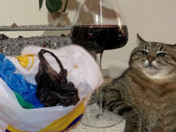 Платні пакети: Реакція соцмереж