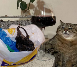 Платні пакети: Реакція соцмереж