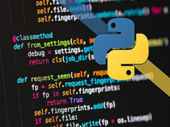 Какой язык программирования самый популярный: его выбрали по одному критерию