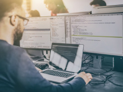 Отчёт: количество программистов, задействованных в криптовалютных проектах, растёт