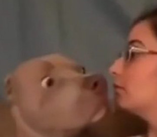 Реакция пса на лай хозяйки рассмешила пользователей Сети