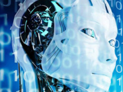 Новый искусственный интеллект может различать птиц по внешнему виду