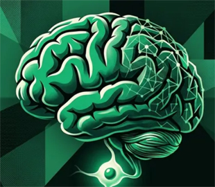 Як одна клітина вибудовує мозок — відкриття, що може змінити AI