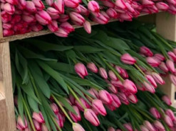 Чоловік хотів придбати квіти в інтернеті, натомість втратив понад 40 тис. грн