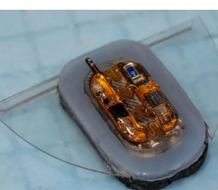 Проблеми з автономністю. Новий м’який робот-скат самостійно плаває та живиться завдяки магнітним полям