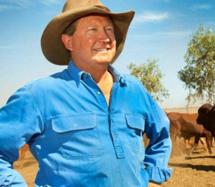 Австралийский миллиардер подал в суд на Facebook