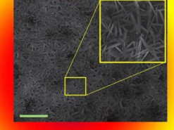 В США создали эффективный литий-воздушный аккумулятор