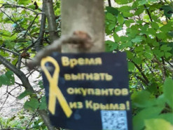 "Час вигнати окупантів": у Сімферополі патріоти України влаштували сміливу акцію. Фото