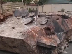 Кіт в Одесі перетворив російський танк на туалет: смішне відео стало хітом
