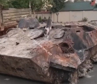 Кіт в Одесі перетворив російський танк на туалет: смішне відео стало хітом