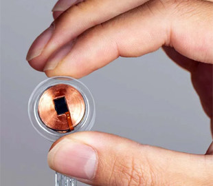 Хакери зможуть нашкодити життю людини з мозковим чипом Neuralink