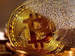 Роберт Шиллер: за вирусной популярностью биткоина стоит тайна Сатоши Накамото