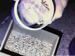 Жителю Херсонщины на почте выдали посылку с наркотиками