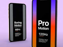 iPhone 12 Pro может получить экран с частотой 120 Гц