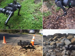 Новый робот умеет адаптироваться к сложным поверхностям