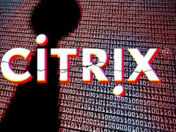 Иранских кибершпионов заподозрили в краже внутренних документов Citrix