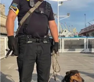 Украинский пес-"пограничник" показал, что думает о "русском корабле" и Путине