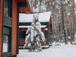 Передноворічна активізація шахраїв на ринку оренди житла: як вберегтися