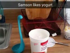 Американка превратила половник в звезду Instagram