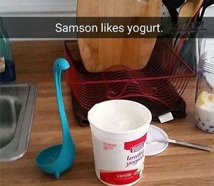 Американка превратила половник в звезду Instagram