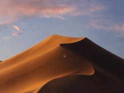 Уязвимость в macOS позволяет красть чужие аккаунты