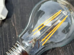 Сайт YASNO не витримав напливу користувачів, які хотіли подивитися графік відключення світла