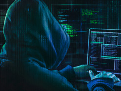 У Нідерландах вирішили не карати хакера, який вгадав пароль Трампа у Twitter