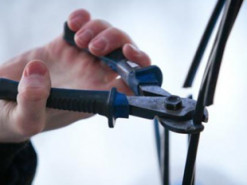 На Днепропетровщине полиция поймала кабельного вора, когда он прятался от гусей