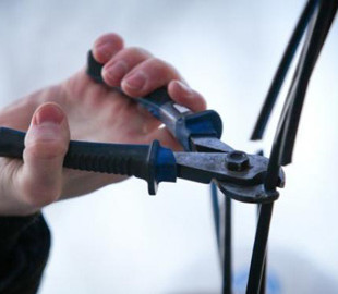 На Днепропетровщине полиция поймала кабельного вора, когда он прятался от гусей