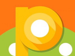 Рассекречено точное название следующей операционной системы Google