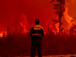 "Ну і грець із ним, горіть": украинские спасатели потроллили МЧС России