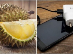 Австралийские ученые могут создать аккумуляторы для смартфонов на основе тропических фруктов