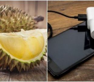 Австралийские ученые могут создать аккумуляторы для смартфонов на основе тропических фруктов