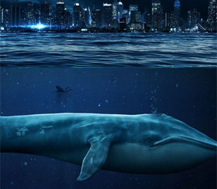 Биткоин-киты перевели c анонимных кошельков на биржу Binance и обратно $78 млн