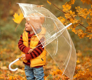 Без дощів, але із заморозками: прогноз погоди у Києві до кінця листопада