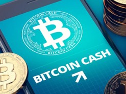 Использование одной из популярных криптовалют сократилось почти втрое