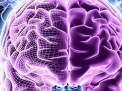 Вчені підрахували кількість думок у голові людини за день