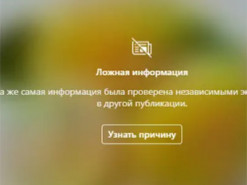 Facebook блокирует фото лимона с подписью "яблоко"