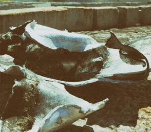 "Підводний човен з бойовими гусаками?": міноборони рф насмішило "поясненням" удару по Одеському порту