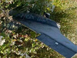 Дешева копія "Шахеда": українські інженери з'ясували, як працює новий дрон "Гербера"