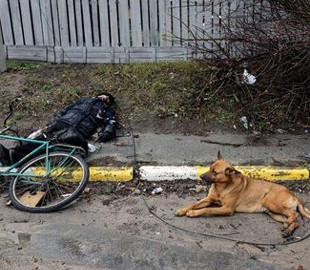 Верный пес не покинул владельца, которого расстреляли российские оккупанты. ФОТО