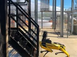 Нефтегазовая компания «трудоустроила» робота Boston Dynamics