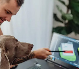 Чи може штучний інтелект перекладати мову тварин: науковці вразили відкриттями