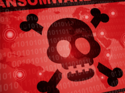 Эксперты рассказали о новом опасном вирусе