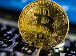 Интерес пользователей Twitter и Википедии к биткоину вырос на фоне ценовых максимумов