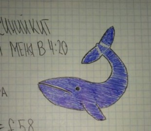 Школьница, выпавшая из окна многоэтажки в Кривом Роге, состоит в "группах смерти"