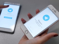 Ну, Дуров, погоди: в сети насмехаются над безуспешной борьбой Роскомнадзора с Telegram