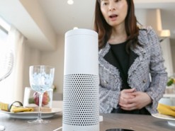 Рождество «сломало» голосовой помощник Alexa